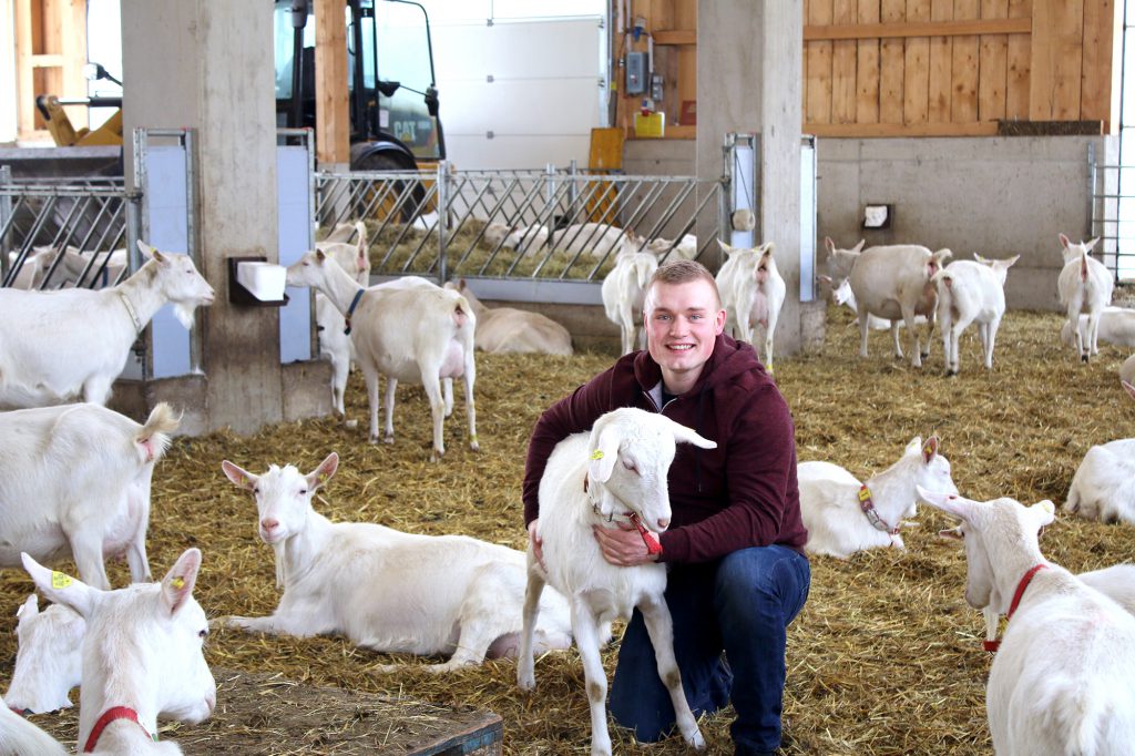 Jürgen Eder mit der Ziege im Stall vom Biohof Ziegenglück in Niederkraml